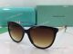 AAA Replica TF Brown Sunglasses - Fashion Sunglasses for Ladies (2)_th.jpg
